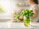 Comment conserver le basilic frais plus longtemps