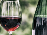 Vins de Loire : tout savoir sur les appellations et achat sur une boutique en ligne spécialisée