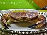 Tourteau / crabe  -  cuisson et fond