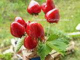 Bouquet d’amour… de fraises