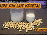 Trilogie de recettes végétales : lait - cookies - yaourts
