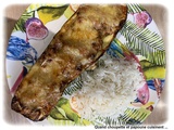 Courgette farcie au thon a l'airfreyer