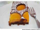 Gâteau au chocolat et la l'abricot