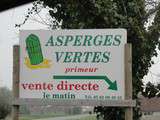 Rencontre avec des producteurs d'asperges vertes du Gers