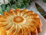 Gâteau aux pommes râpées