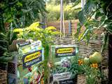 Algoflash Naturasol des produits pour jardins biologiques