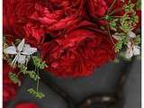 Bouquet de roses Alain Souchon