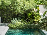 Comment créer un jardin exotique pour un dépaysement total