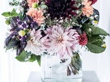 Dahlias : Reines éclatantes de l’automne au jardin