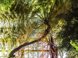 Jardin des plantes : visite des grandes serres
