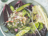 Salade de crabe et chicorées : fraîcheur d’hiver et bienfaits