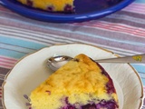 Gâteau aux myrtilles