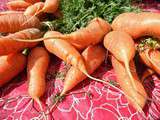 Potage carotte et cannelle sans gluten