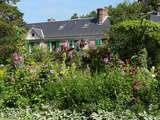 Dans les jardins de Claude Monet à Giverny