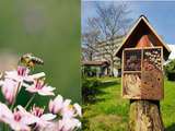 Tuto : comment fabriquer un hôtel à insectes pour le jardin