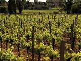 Vin devient patrimoine de la France