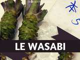 Tout Savoir Sur Le Wasabi : Un Met Rare et Délicat
