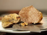 Truffe blanche, l’or blanc de l’Italie