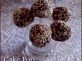 Cake Pops au chocolat ==  foodista challenge #107