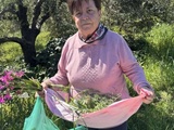 Herbes sauvages de Crète : tout ce que j’ai appris cet été pour mon livre