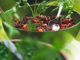 Salade méditerranéenne aux lentilles (salata me fakes)