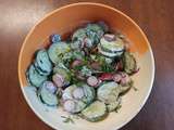 Salade de concombres et radis