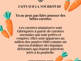 Bébés carottes ne sont pas ce que vous pensez ! Apprenez comment elles sont fabriquées et pourquoi elles sont si populaires. 🥕