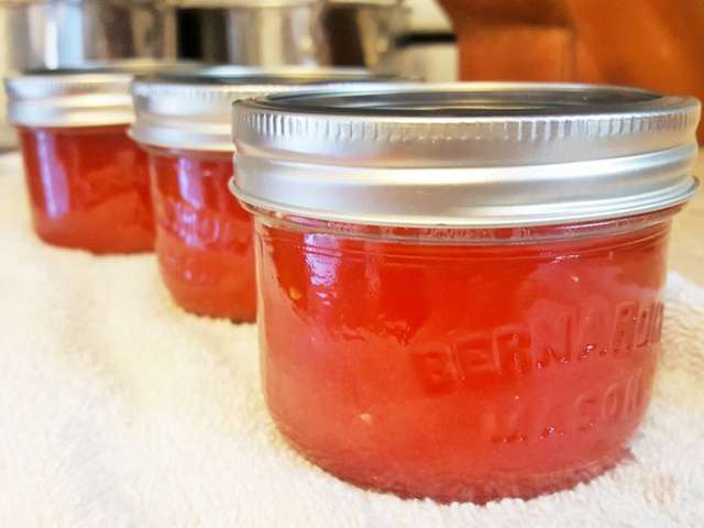 Recettes de Confiture de melon et Melon d'eau
