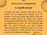 Gastronomie linguistique : de la Sea Pie à la Cipaille. 🥧