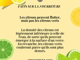 Saviez-vous ? Les citrons flottent, mais pas les citrons verts ! Découvrez pourquoi ici 🍋