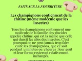 Saviez-vous que les champignons ont quelque chose en commun avec les insectes?🍄Découvrez le rôle surprenant de la chitine