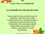 Vous ne verrez plus jamais les amandes de la même façon! Elles cachent un secret fruité. 🍒🌳