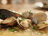 Moules, coques et palourdes à la marinière