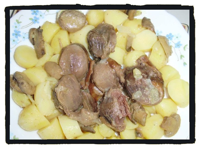 WHAT IS GESIERS IN ENGLISH visual data 6