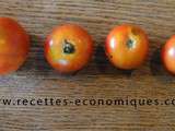Premières tomates du jardin