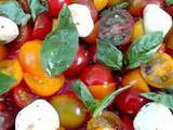 Salade de petites Tomates multicolore