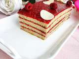 Cake Pistache-Framboise