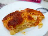 Gâteau aux abricots (ultra simple et délicieux)