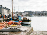 Quel plateau de fruits de mer choisir pour 4 personnes sans gaspiller ni manquer