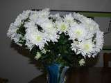 Cette semaine, un bouquet de fleurs blanches