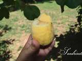 Citron givré