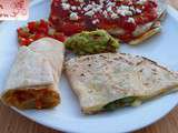 Assiette mexicaine : enchiladas, quesadillas, pico de gallo, guacamole