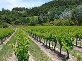 Avis de naissance : un nouveau blog sur les vins des Côtes-du-Rhône