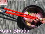 Bouillon dashi et Shabu shabu