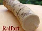 Raifort (der Meerrettich)