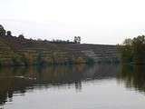 Terrasses escarpées : Trollinger, Lemberger et Riesling, les vins du Neckar