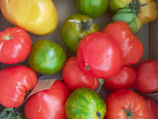 Recettes de Tarte Fine à la Tomate et Moutarde