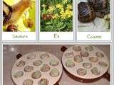 Escargots de Bourgogne pour nos grandes tablées festives + Partenariat