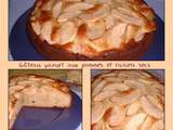 Gâteau Yaourt aux Pommes et Raisins secs au Rhum