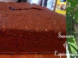 Gâteau au Chocolat Basique à Décorer